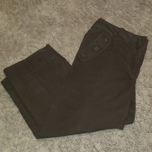 Ann Taylor Loft Capri Pants